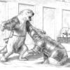 Battle