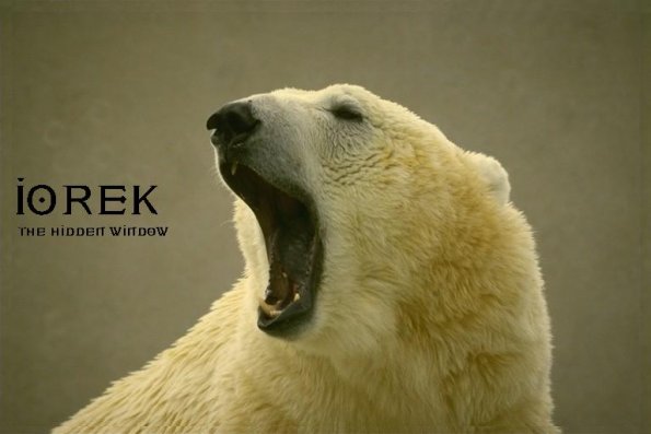 Iorek