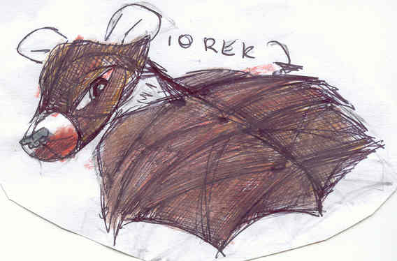 Iorek