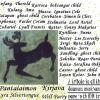 Tribute to all daemons mentioned in HDM