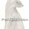 Pantalaimon
