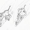 Mulefa