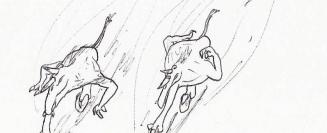 Mulefa