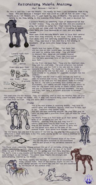 Mulefa Anatomy