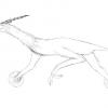 Mulefa