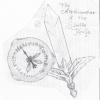 The Alethiometer and Subtle Knife