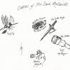 Oddities of His Dark Materials