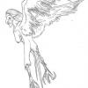 Harpy