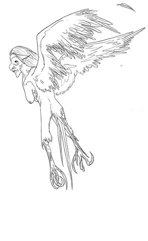 Harpy