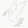 Swan