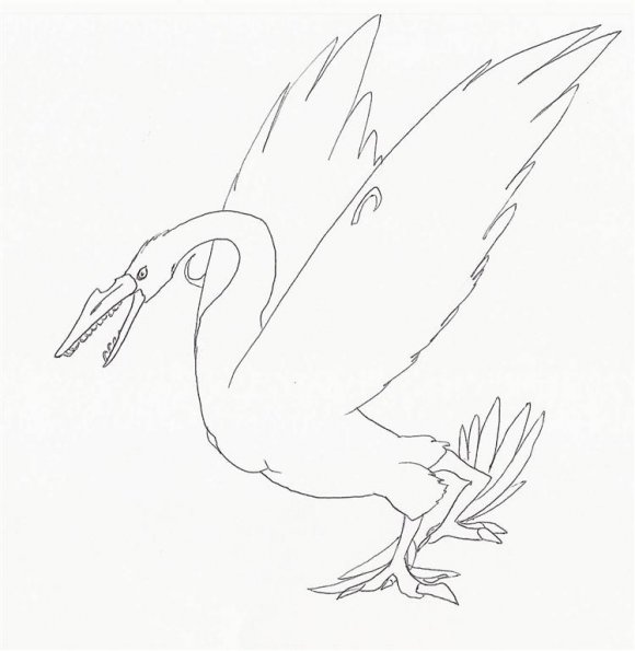 Swan
