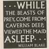 Chapter 1: The Enchanted Sleeper