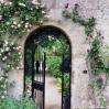 Gate through which Lyra and Will enter