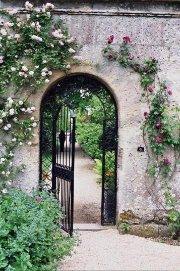 Gate through which Lyra and Will enter