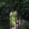 Gate through which Lyra and Will enter