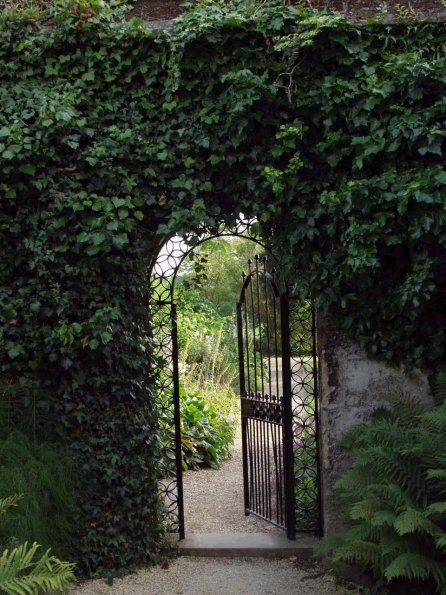 Gate through which Lyra and Will enter