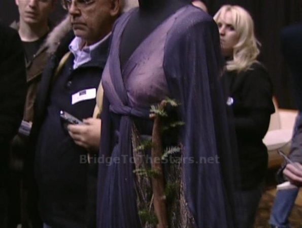 Witch dress (top)