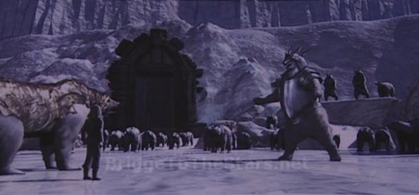 Bear Fight