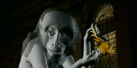 The Golden Monkey