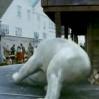 Iorek at Trollesund